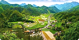 國(guo)藥藥材(cai)秦巴基地