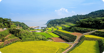 國(guo)藥藥材(cai)雲南(nan)基地